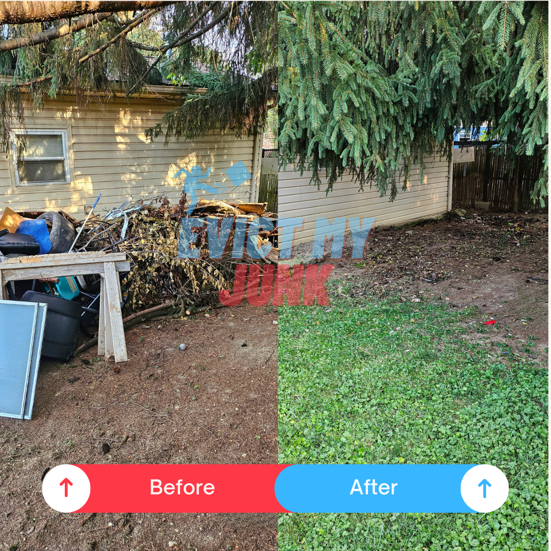 Cincinnati Yard Waste Removal Evict My Junk