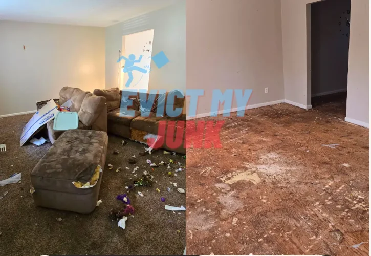 Clean Out Services - Before & After - Evict My Junk